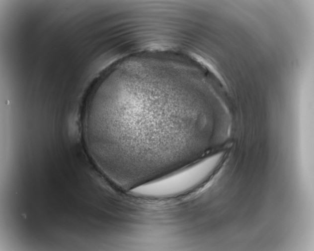 X0000088441018200706051244