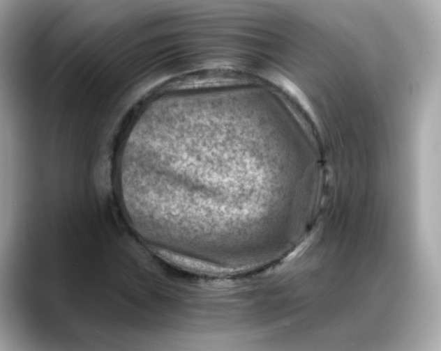 X0000088441019200706051244