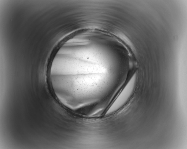 X0000088441020200706051244