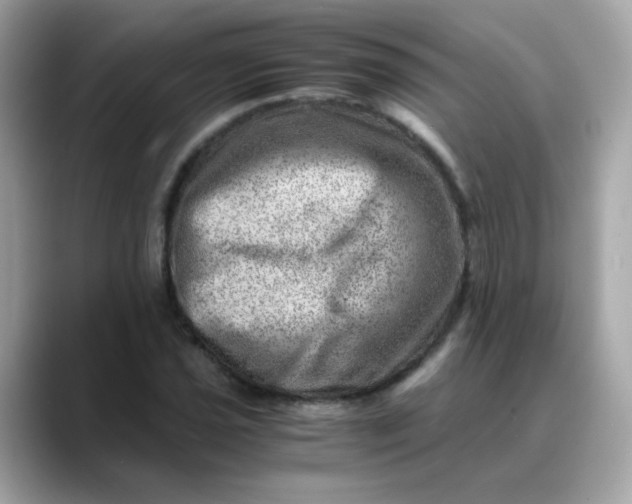 X0000088441021200706051244