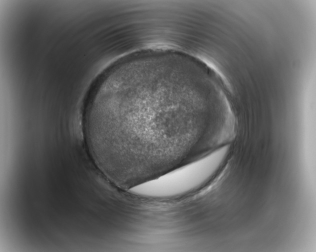 X0000088441022200706051244