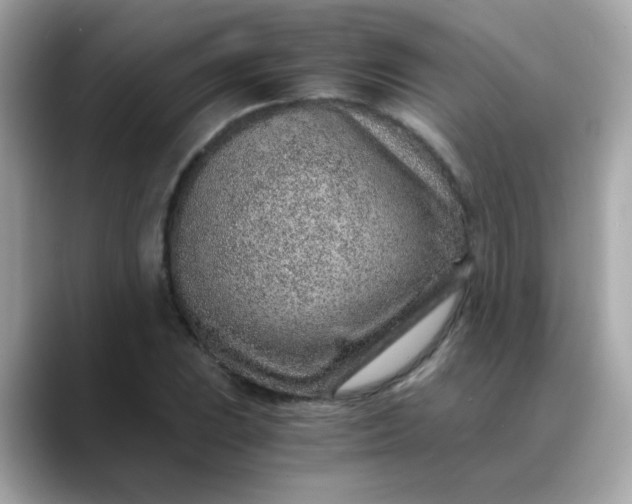 X0000088441023200706051244