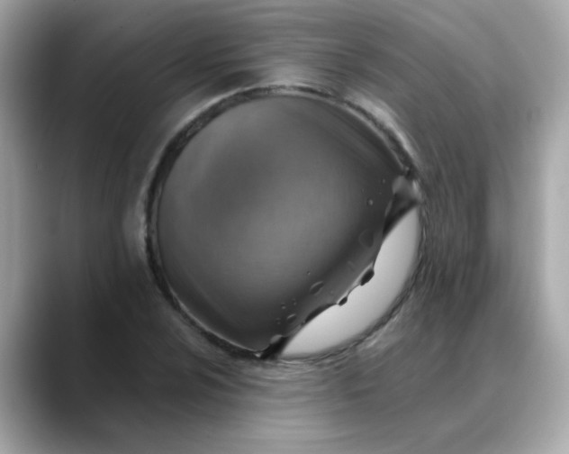 X0000088441024200706051244