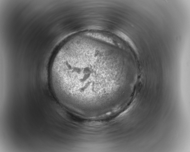 X0000088441027200706051244