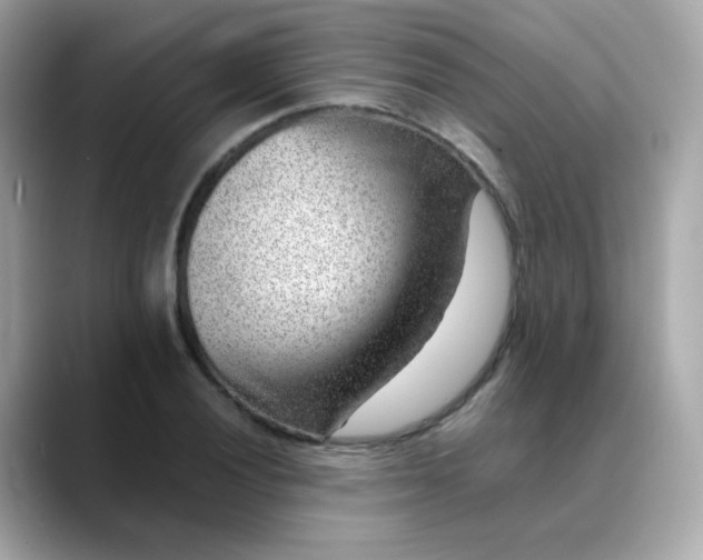 X0000088441028200706051244