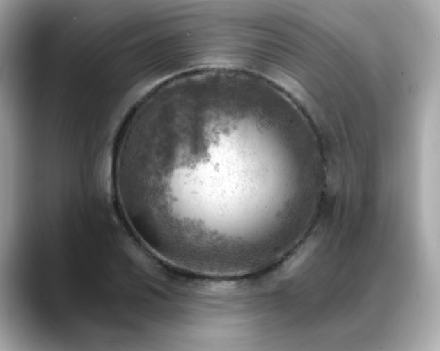 X0000088441030200706051244