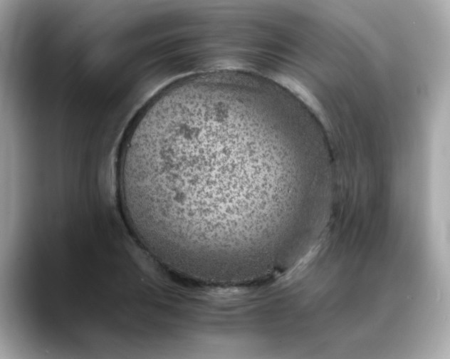 X0000088441031200706051244
