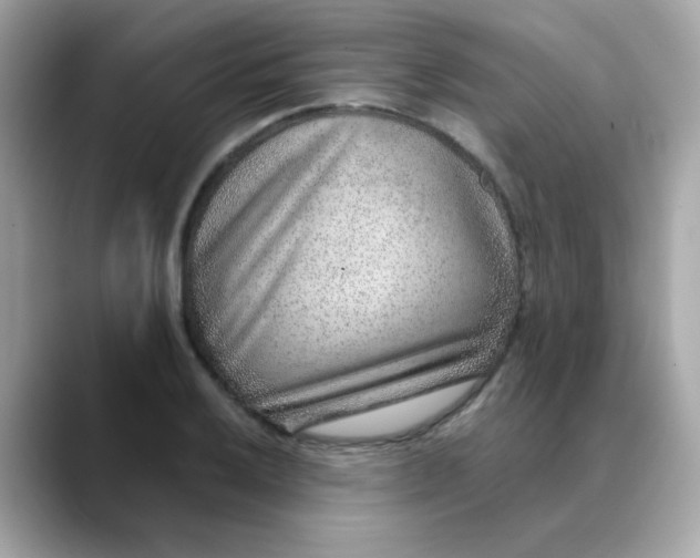 X0000088441032200706051244