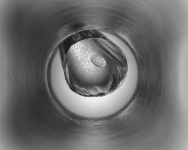 X0000088441034200706051244