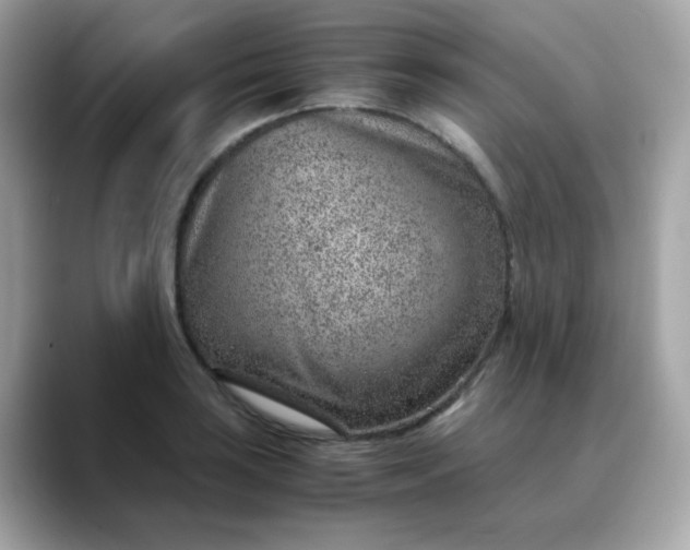 X0000088441035200706051244