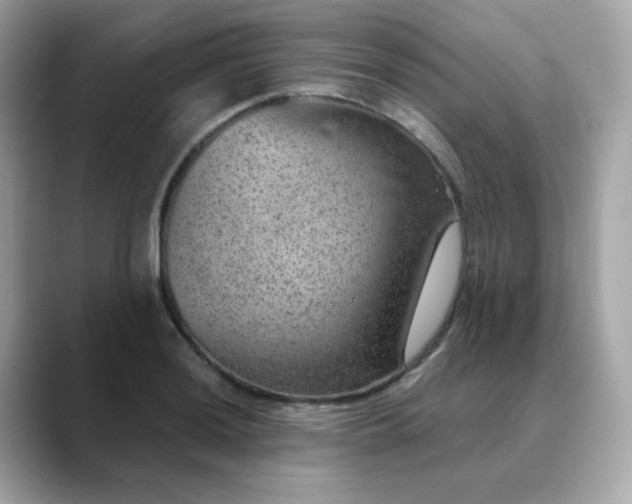 X0000088441036200706051244