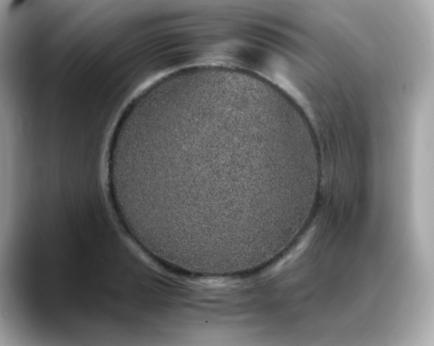 X0000088441037200706051244