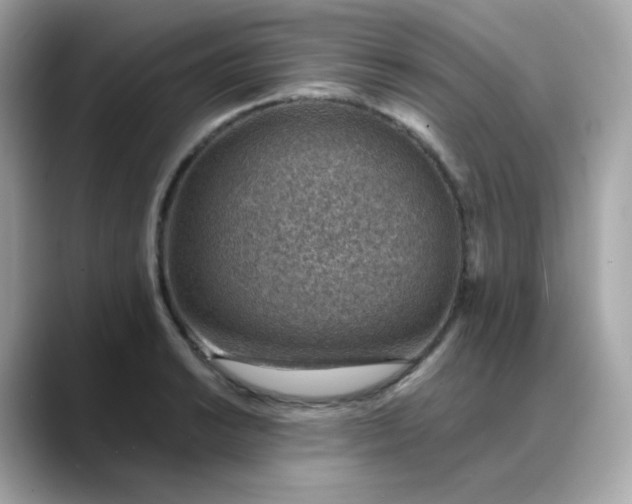 X0000088441038200706051244