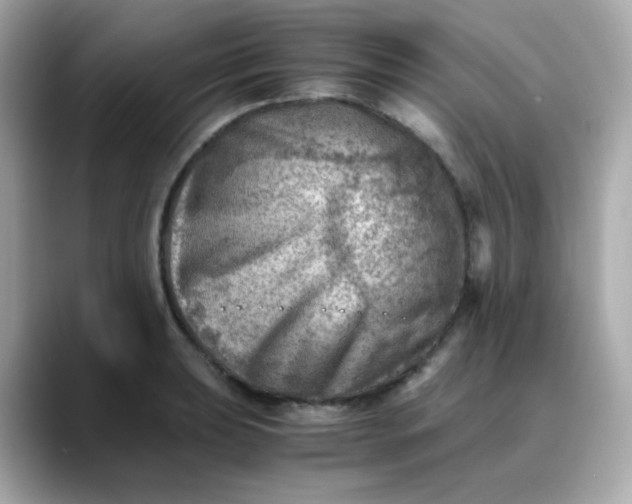 X0000088441039200706051244