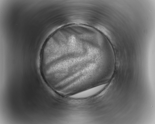 X0000088441040200706051244