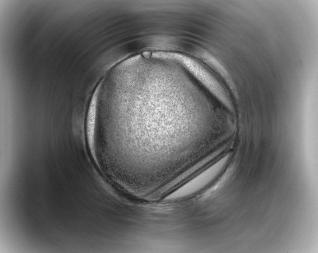 X0000088441041200706051244