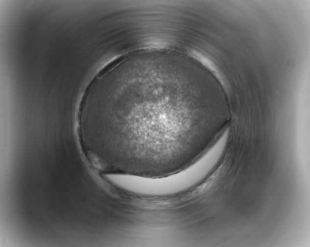 X0000088441042200706051244