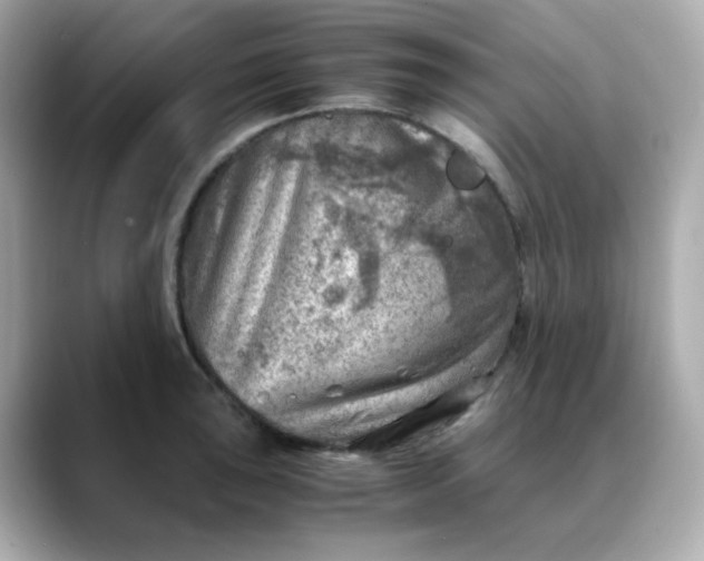 X0000088441043200706051244
