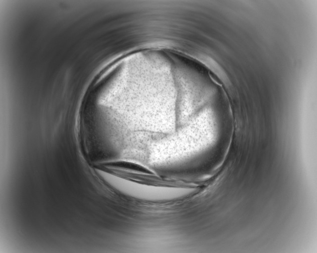 X0000088441044200706051244