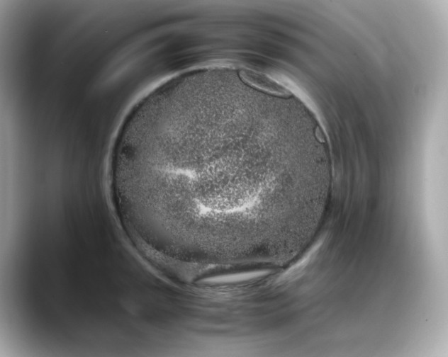 X0000088441045200706051244