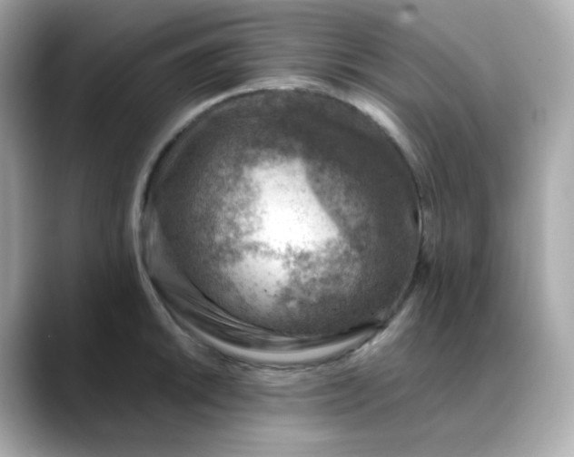 X0000088441046200706051244
