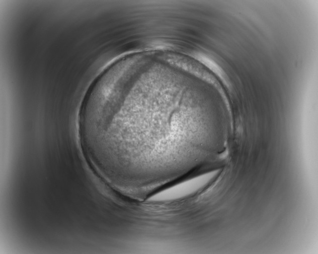X0000088441047200706051244