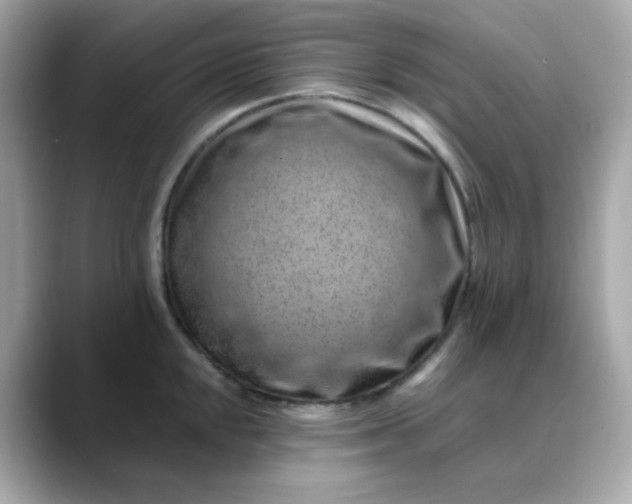 X0000088441048200706051244