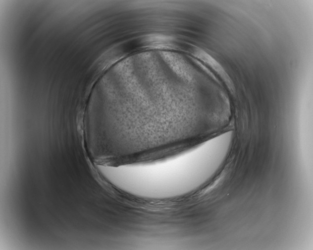 X0000088441049200706051244