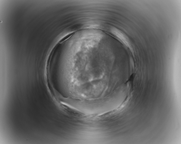 X0000088441050200706051245