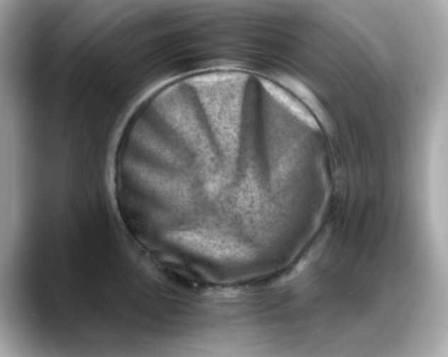 X0000088441051200706051245
