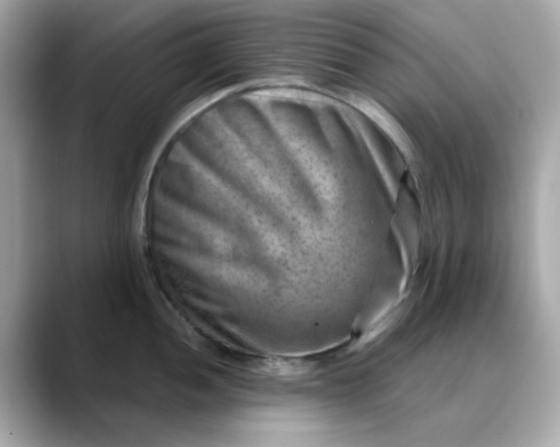 X0000088441052200706051245