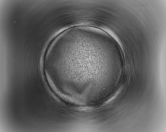 X0000088441053200706051245