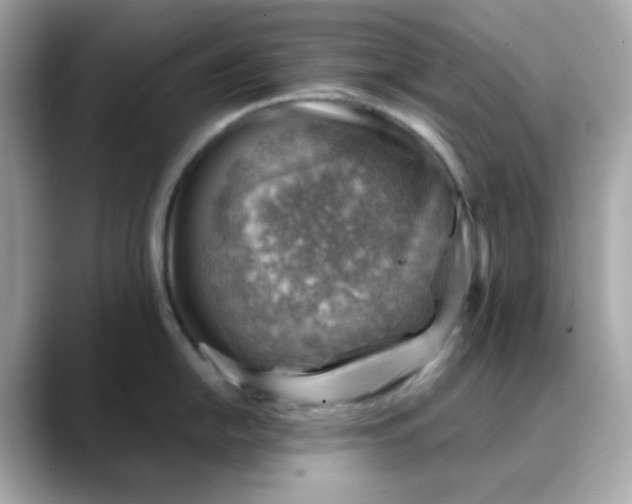 X0000088441054200706051245