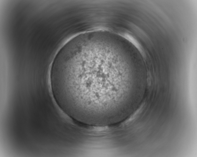 X0000088441055200706051245