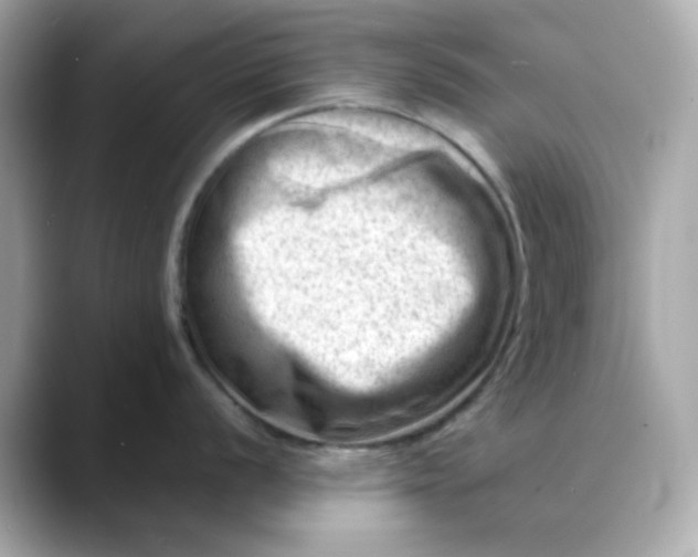 X0000088441056200706051245