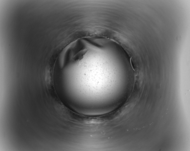 X0000088441058200706051244