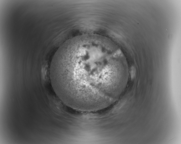 X0000088441059200706051244