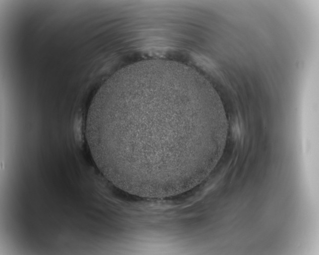 X0000088441060200706051244