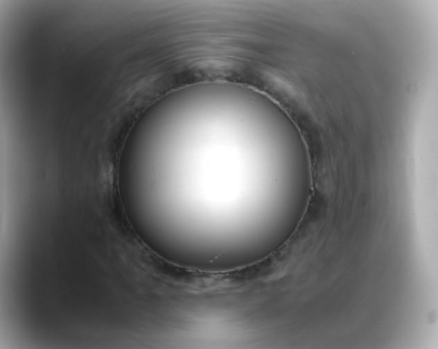 X0000088441061200706051244