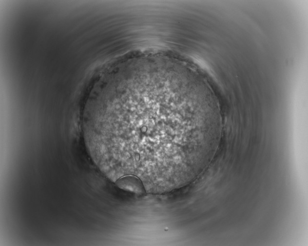 X0000088441063200706051244