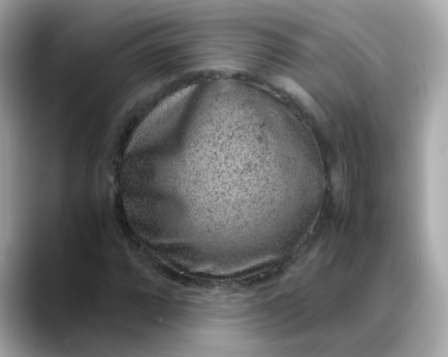 X0000088441064200706051244