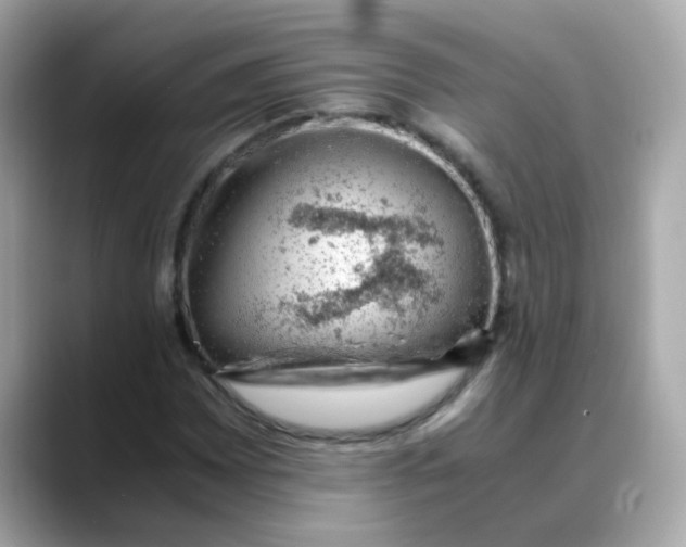 X0000088441065200706051244