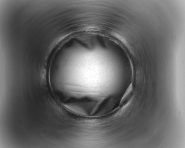 X0000088441066200706051244