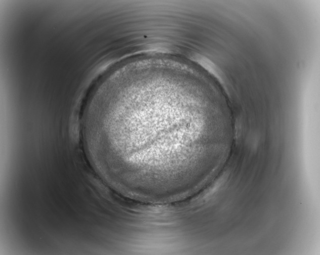 X0000088441067200706051244