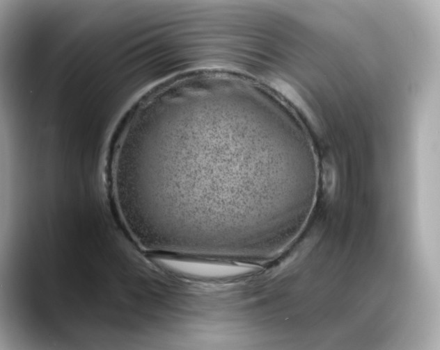 X0000088441068200706051244