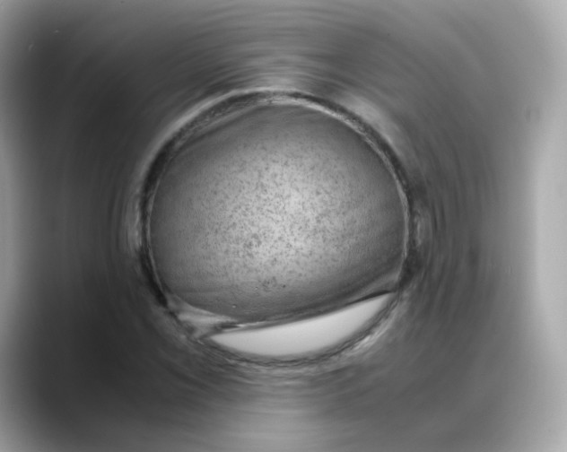X0000088441069200706051244