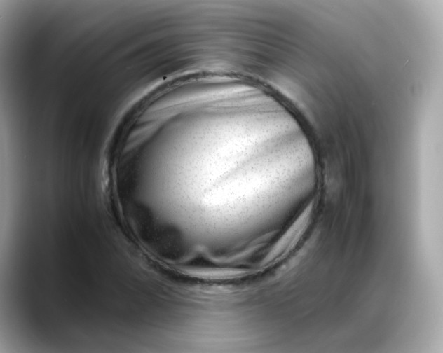 X0000088441070200706051244
