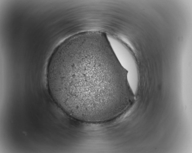 X0000088441071200706051244