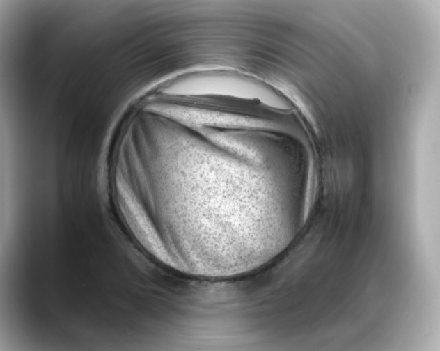 X0000088441072200706051244
