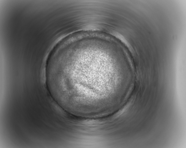 X0000088441075200706051244